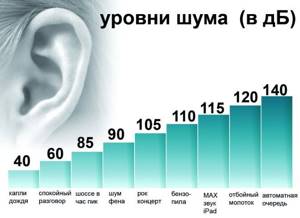 Frequencies of sound waves that humans hear