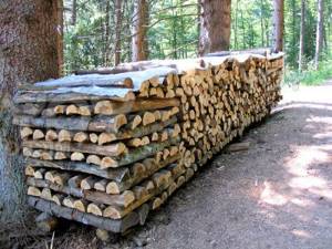 firewood for the stove