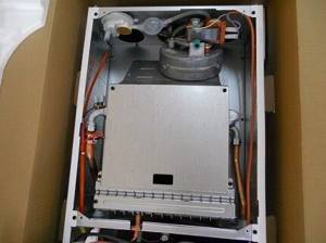 Gas boiler without casing front panel