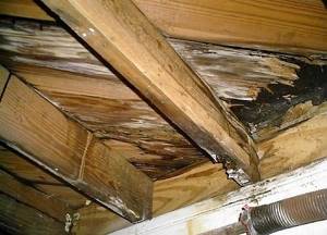 rotting of rafters due to condensation