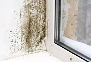 How to get rid of high humidity in an apartment and house: why it occurs and what to do