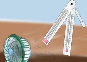 How to determine air humidity in an apartment using a thermometer