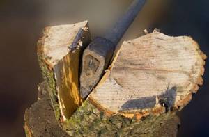 How to properly chop wood. It’s easier to chip off pieces from the edges of a large block of wood 