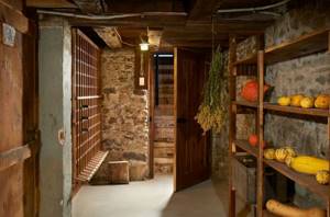 How to properly prepare a cellar for winter