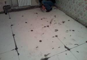 How to insulate a floor with polystyrene foam: concrete, along joists, under a screed