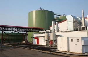 Biomass processing complex