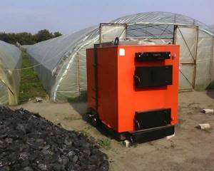 Boilers with automated controls performed best in the greenhouse, and you need to choose any fuel that is available and at the same time inexpensive