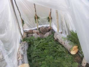In the photo: insulation with spruce branches and seats made of logs