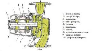 Glandless rotor pump