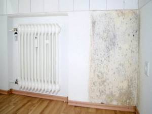 Mold on the walls in the apartment due to dampness