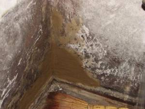 Why are there problems when dealing with mold?