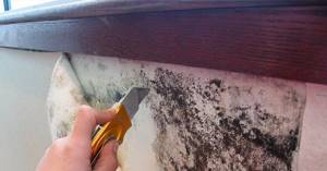 Step-by-step cleaning of plaque