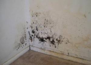 The appearance of mold on the wall due to the use of steam