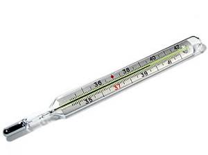 A mercury thermometer, as an example of the principle on which a mechanical thermostat is designed