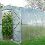 Polyethylene greenhouse