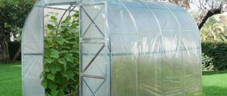 Polyethylene greenhouse