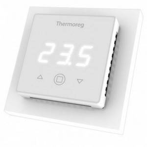 Thermoreg TI 300 thermostat