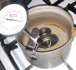 Thermostat in the pan and thermometer