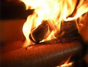 Fuel briquettes for stoves, their pros and cons