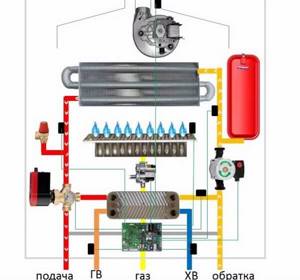 Design and principle of operation of double-circuit gas boilers: diagram and selection criteria