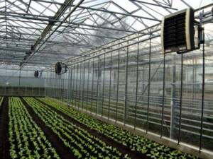 VOLCANO air heater in a greenhouse